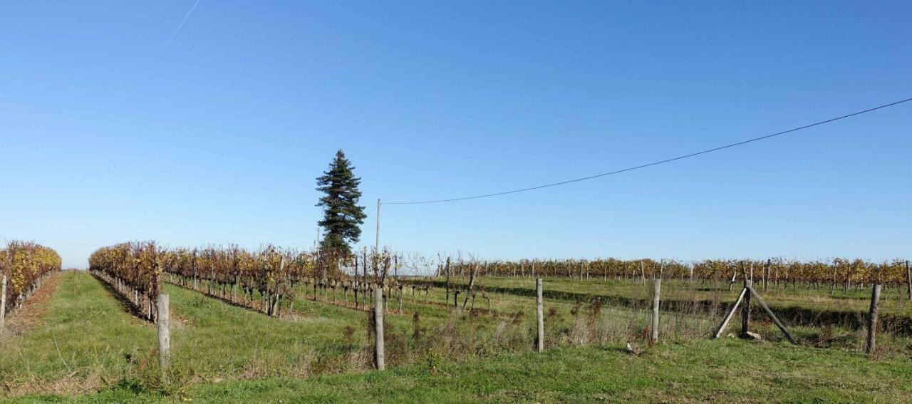 Вилла Le Clos De La Chataignere Verac Экстерьер фото